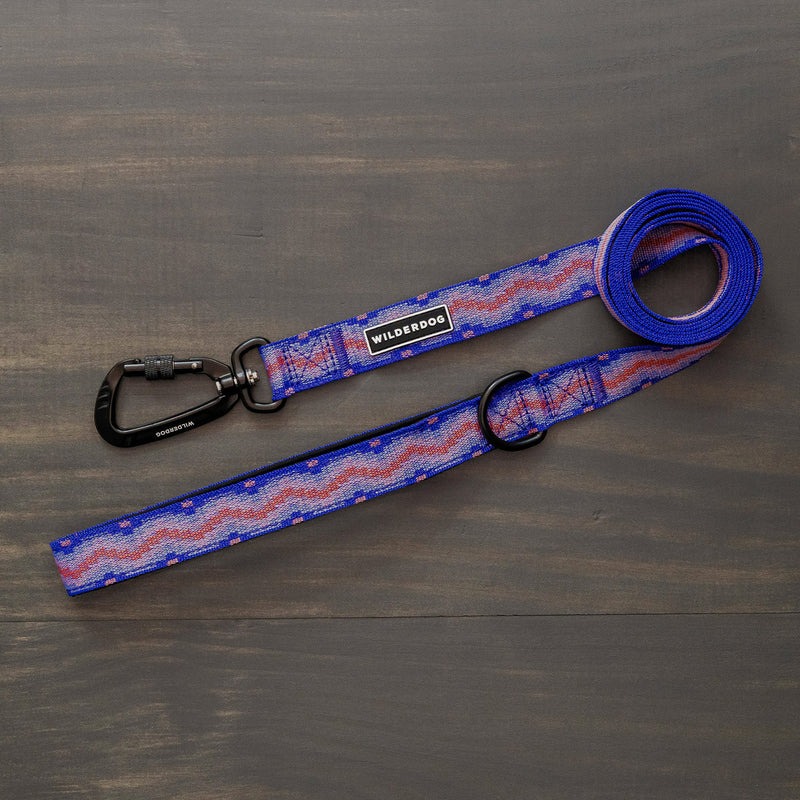 Wilderdog Firework Pattern Dog Leash
