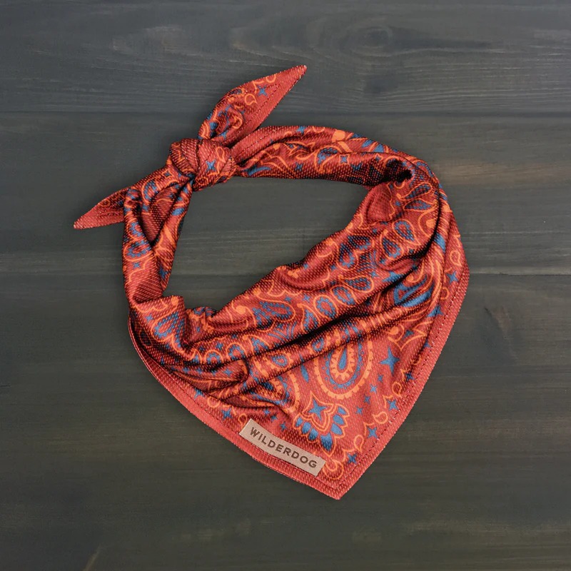 Wilderdog Rodeo Paisley Bandana